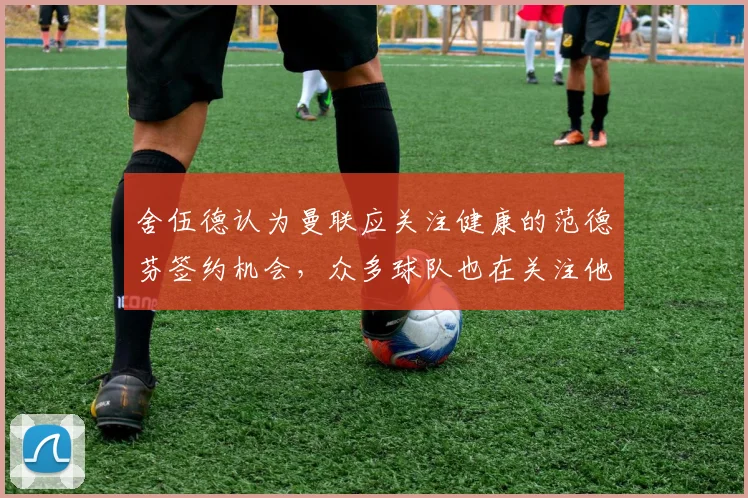 舍伍德认为曼联应关注健康的范德芬签约机会，众多球队也在关注他