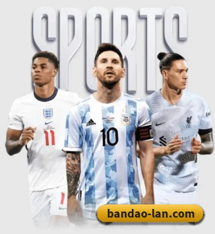 五大服务分区,信息按项目分类 - 多运动项目内容板块 | bandao